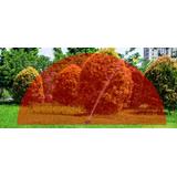 Zraszacz ogrodowy wahadłowy 281357