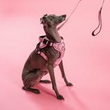 Smycz i szelki dla psa PJ-056 różowa M