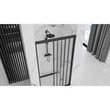 Shower doors Rea Alex Black 100