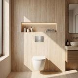 Concealed WC Frame Set Slim 024N with Titan T Brush Steel