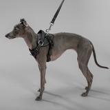 Smycz i szelki dla psa PJ-055 czarna M