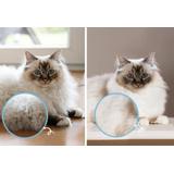 Zgrzebło - profesjonalna szczotka przeciw kołtunom PJ-040