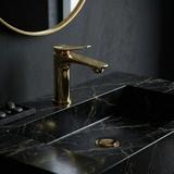 Praustuvo maišytuvas PREMIUM REA Vision Gold Low