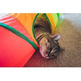 SKŁADANY TUNEL DLA KOTA 331711