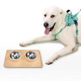 Metalowe Miski Dla Psa lub Kota z Antypoślizgową Matą Beż PJ-089