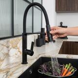 Смесител за кухня REA Lago Black