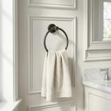Bathroom hanger Ring 6610 Modern Titan