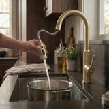Kitchen faucet Rea Master Brush Gold