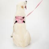 Smycz i szelki dla psa  PJ-060 różowa L