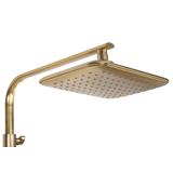 zuhanyszett REA Tom brush gold