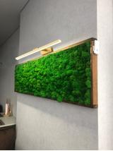 Kinkiet LED Gold 40cm APP833-1W