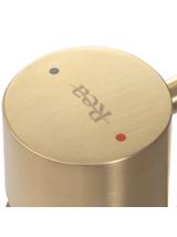 Βρύση REA TESS Gold Brushed High Basin Baucin