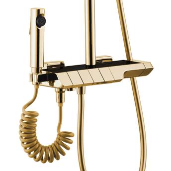 Purškimo rinkinys su termostatu REA ROB Gold