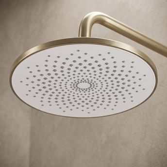 Okrugla tuš ruža REA JS-021 Gold Brush
