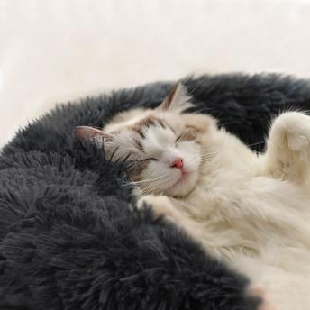 LEGOWISKO DLA PSA KOTA PJ-002 CIEMNO SZARE S