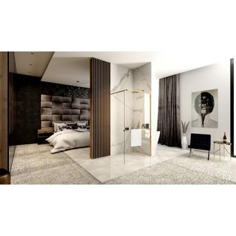 Душевая стенка Rea Aero Gold N 110 Walk In + EVO