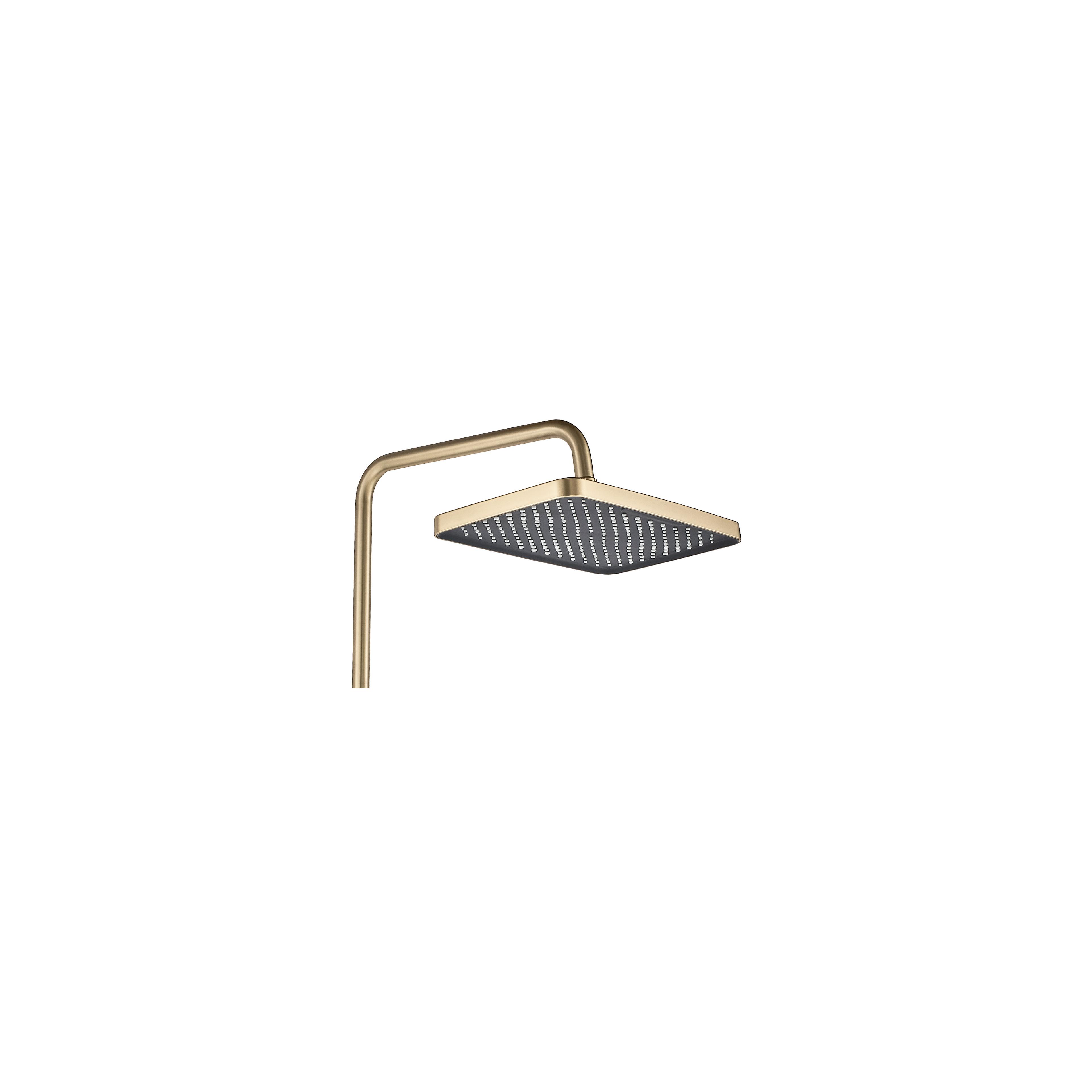 Tuš set PREMIUM REA JOE Brush Gold