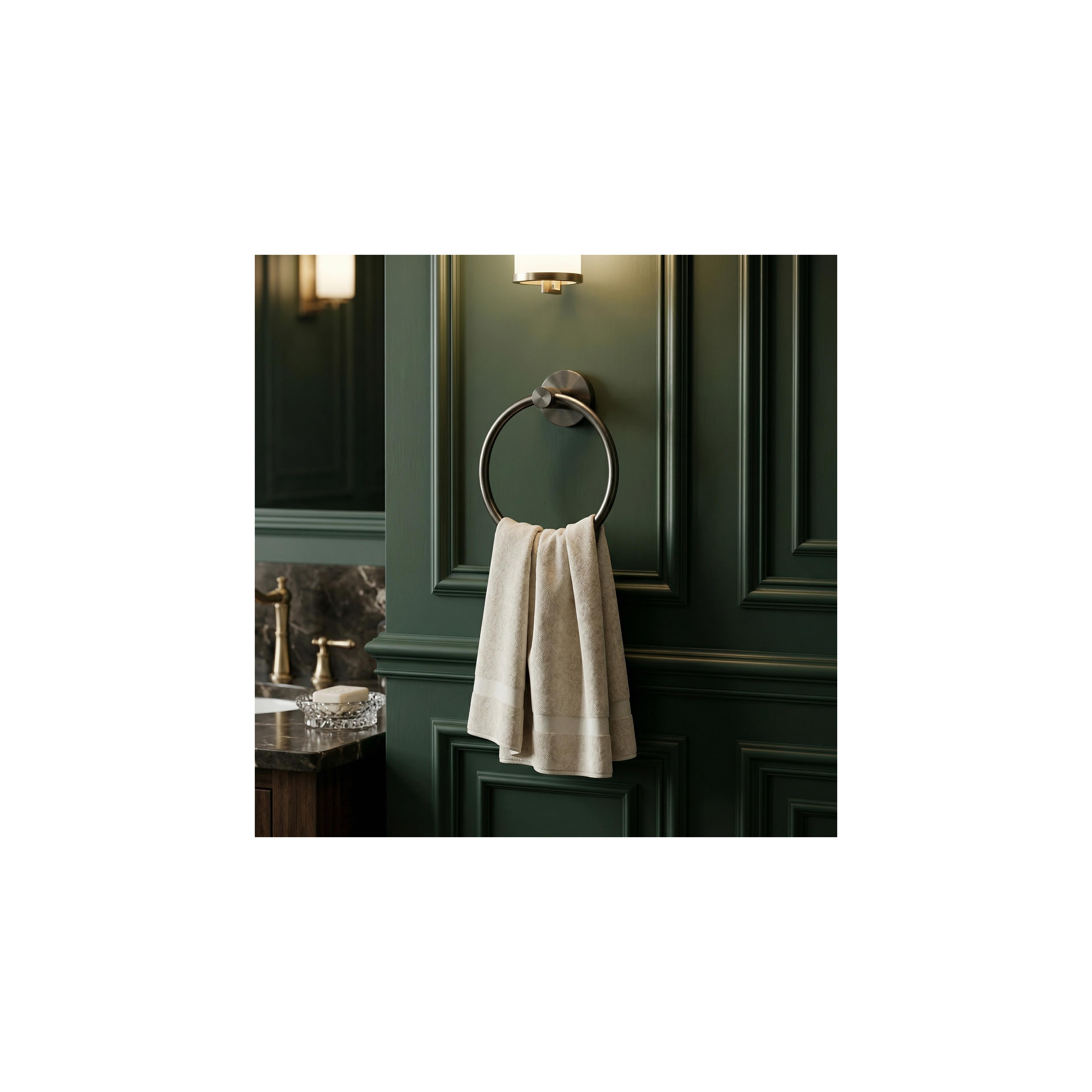 Bathroom hanger Ring 6610 Modern Titan
