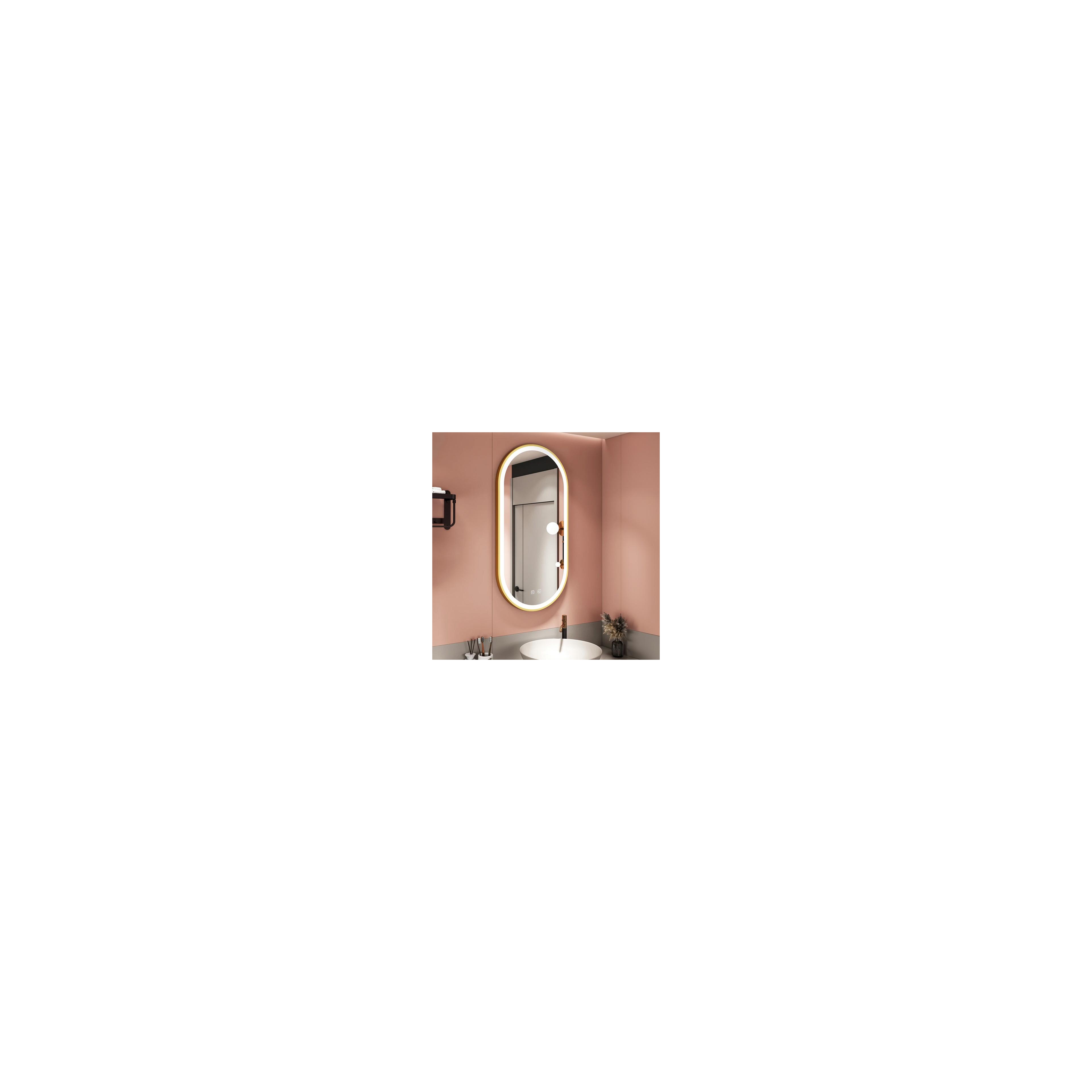 Veidrodis LED OVL 50x100cm Brush Gold