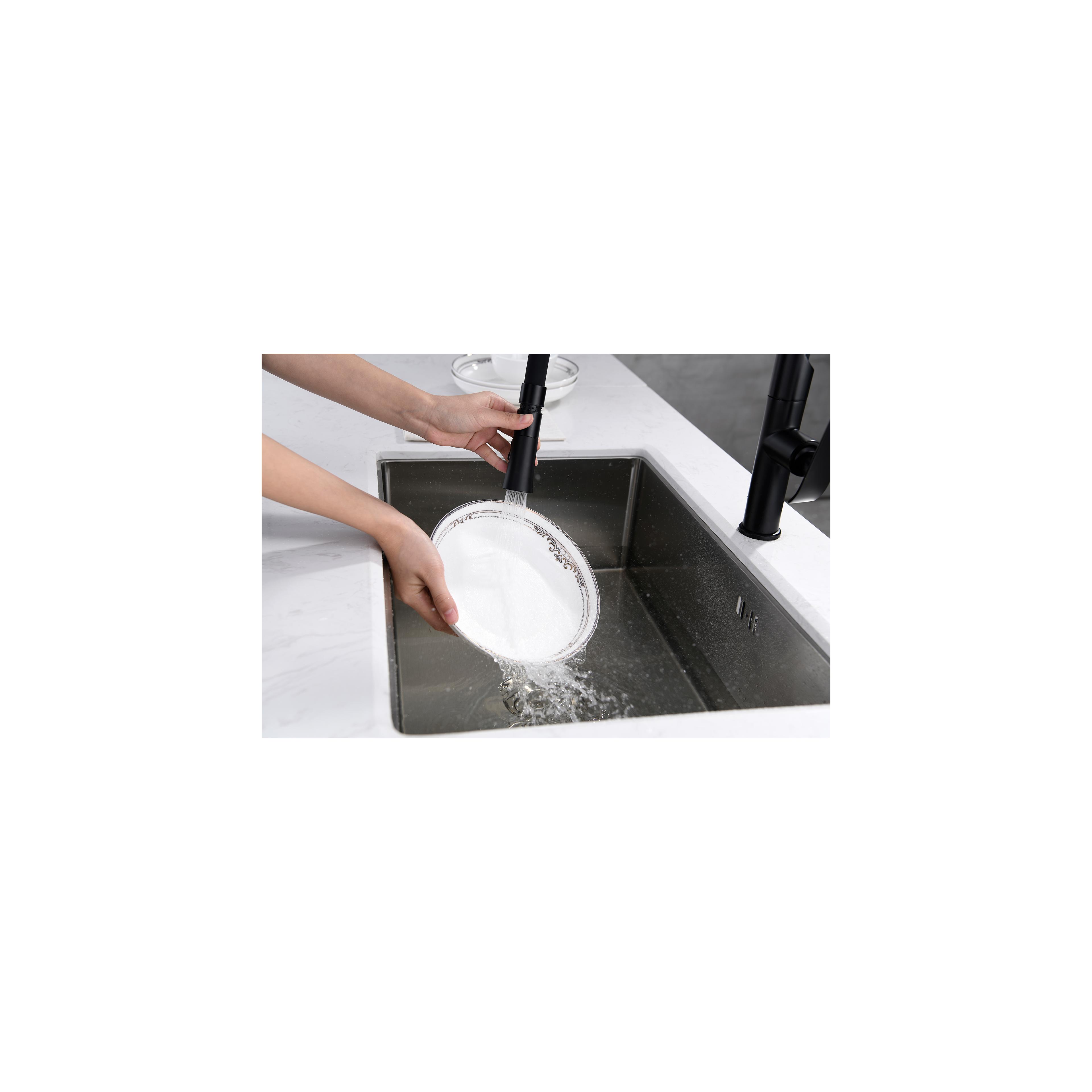 Robinet de cuisine Rea Castor Black Mat