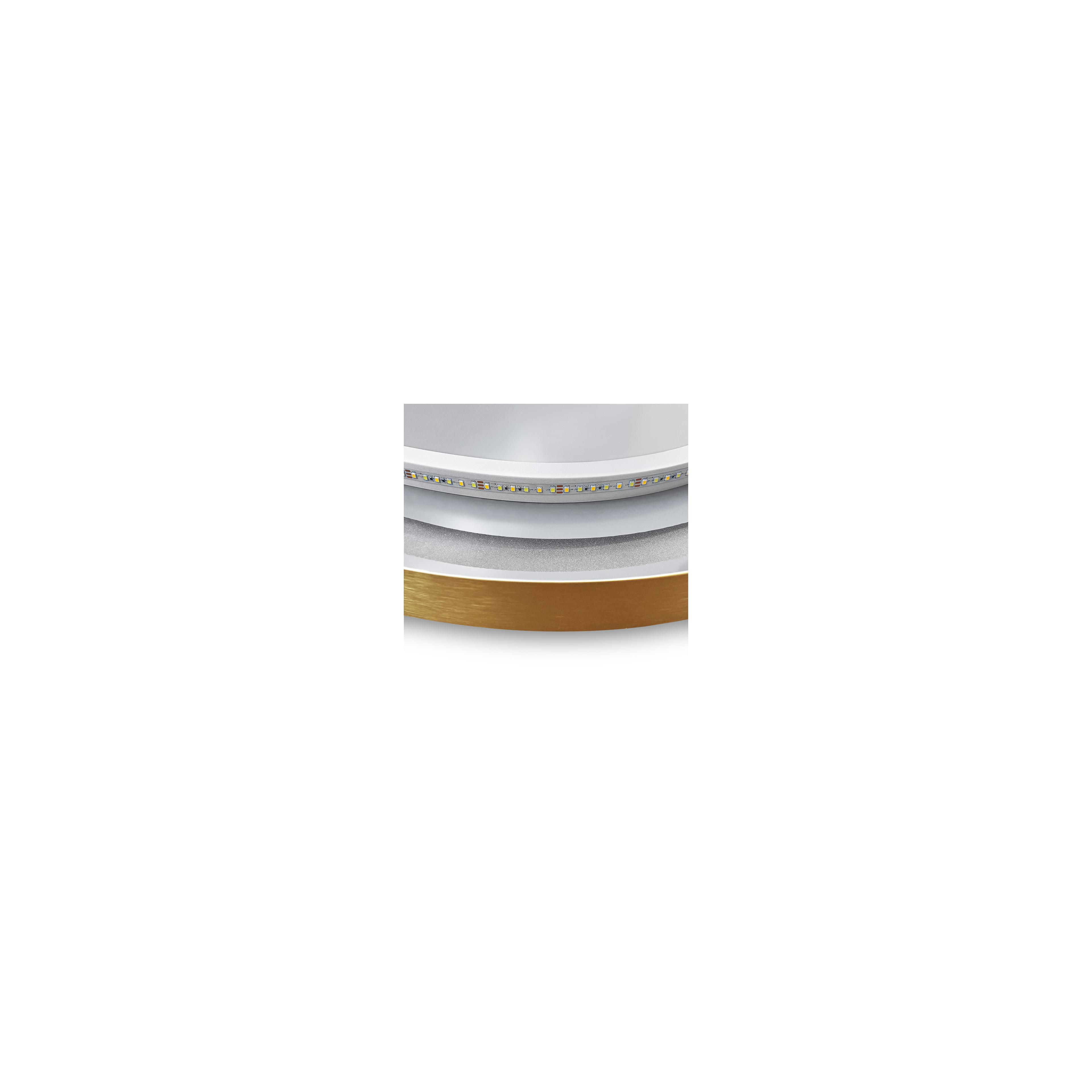 Veidrodis LED OVL 50x100cm Brush Gold