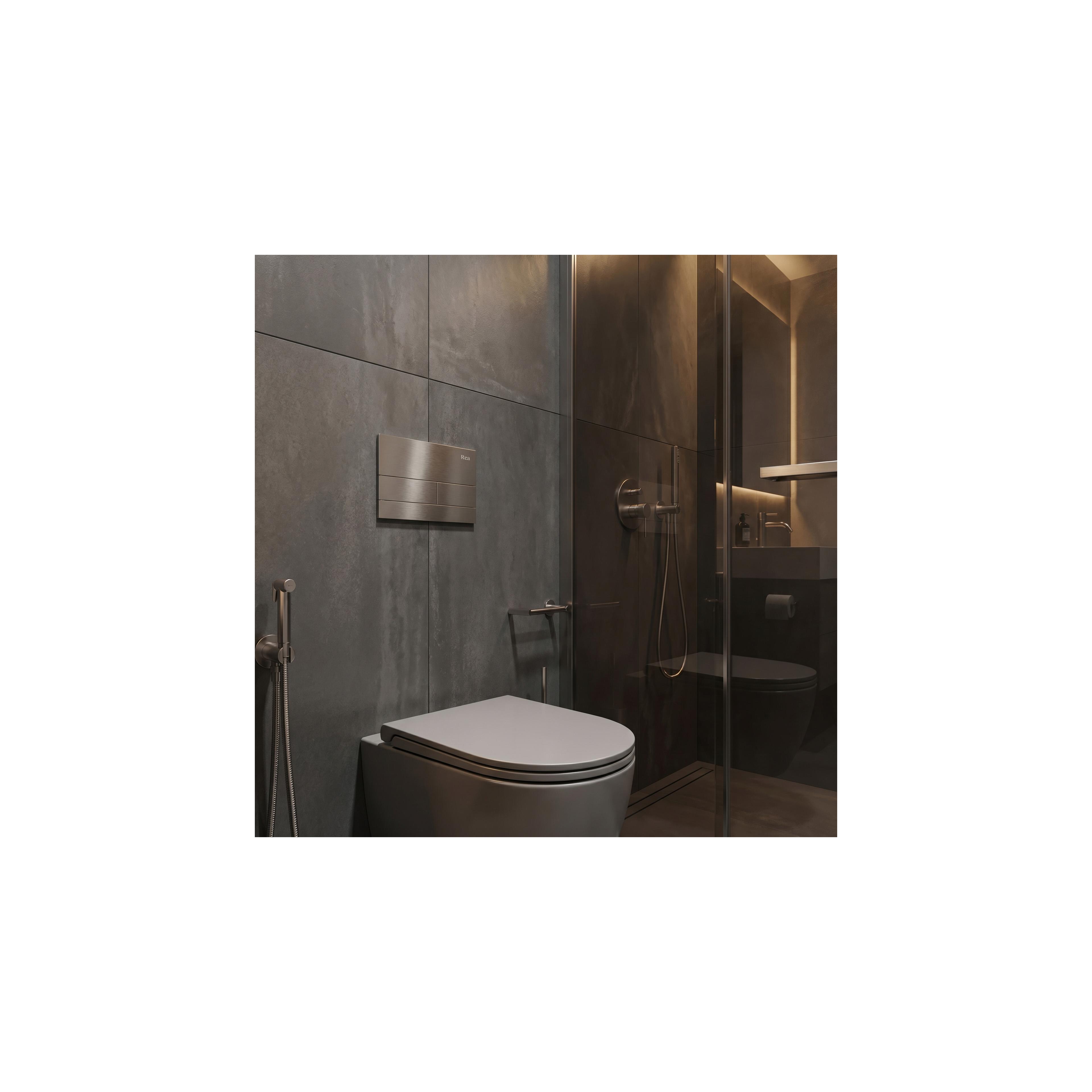 Concealed WC Frame Set Slim 024N with Titan T Brush Steel
