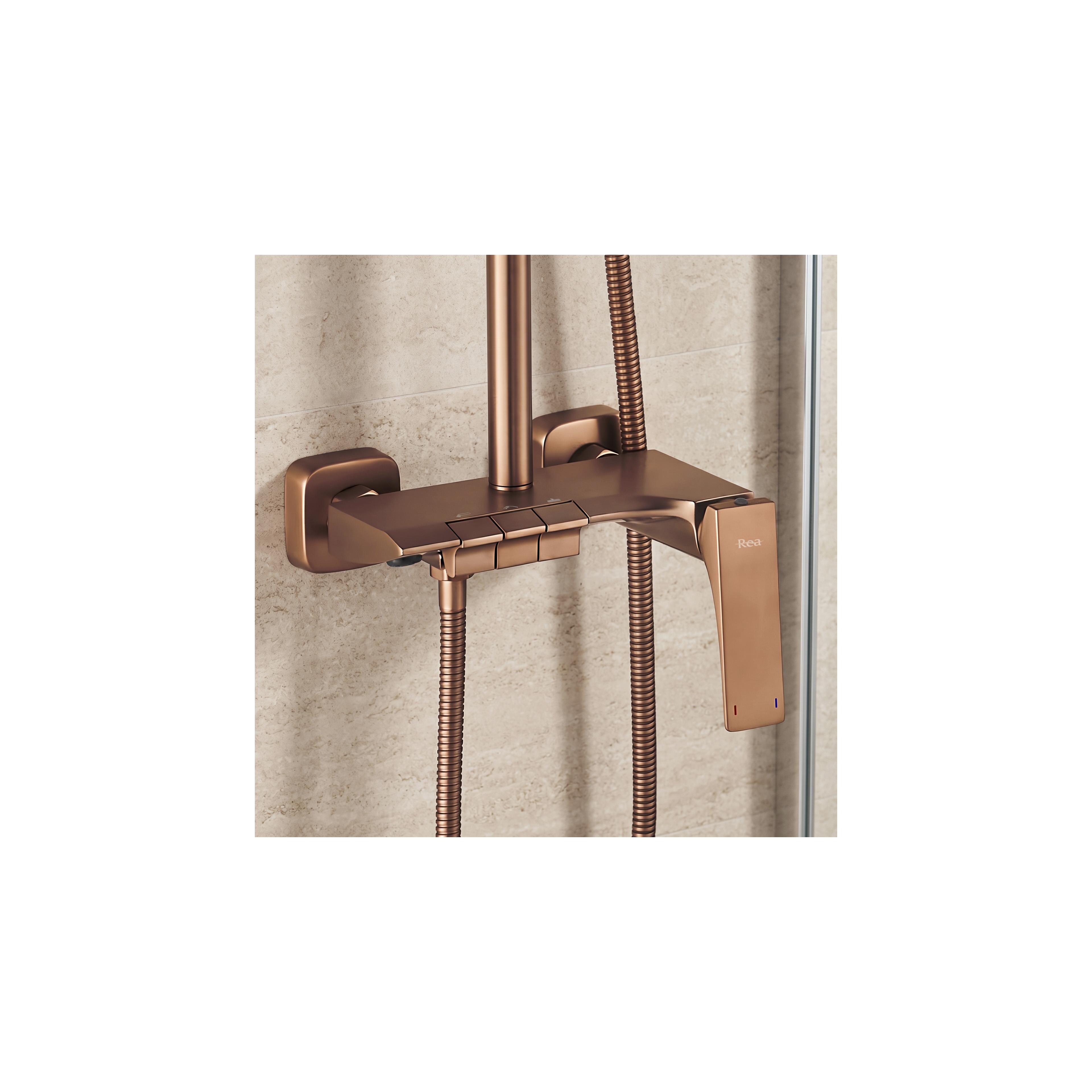 Set dus PREMIUM REA JOE Brush Copper