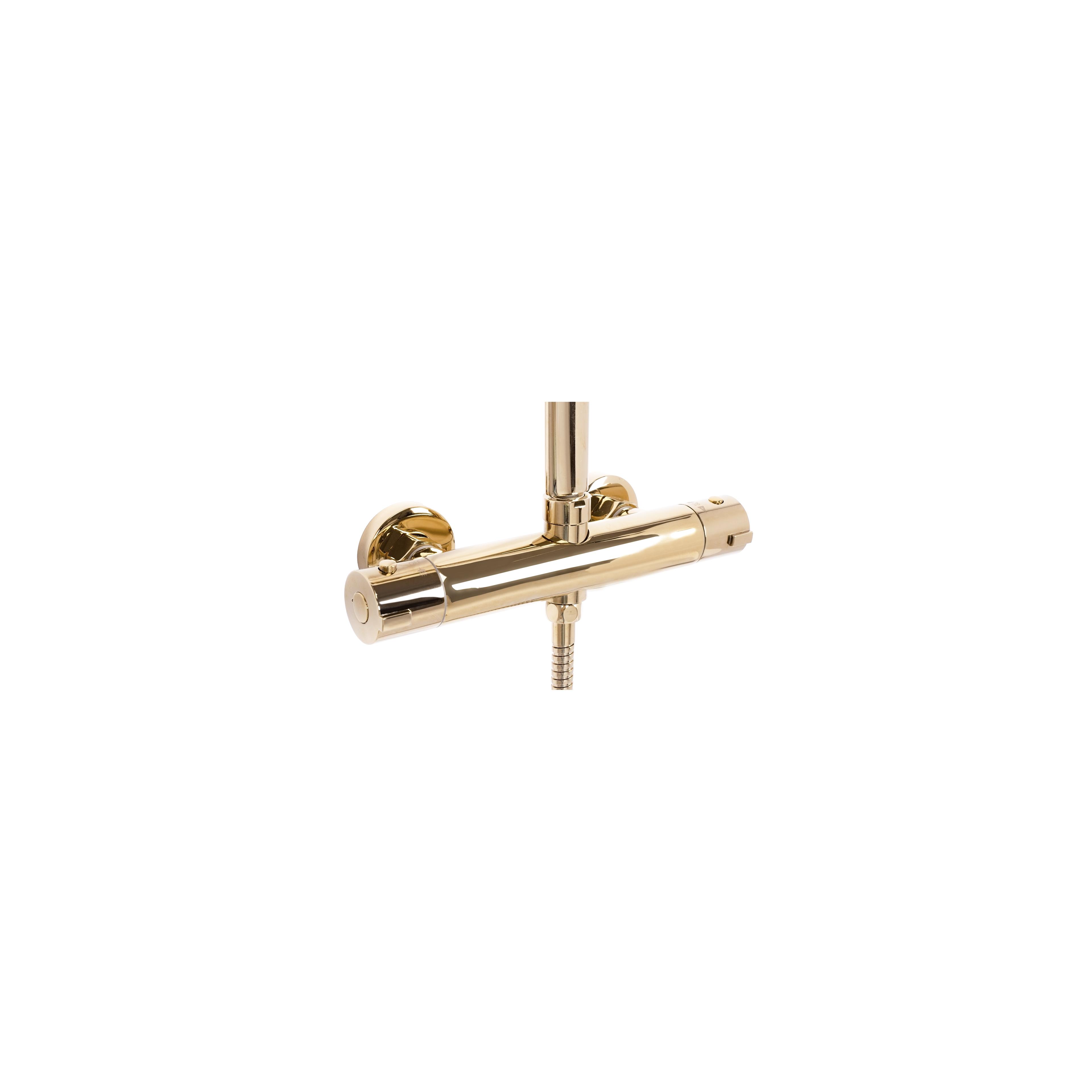 Shower set REA Tom gold
