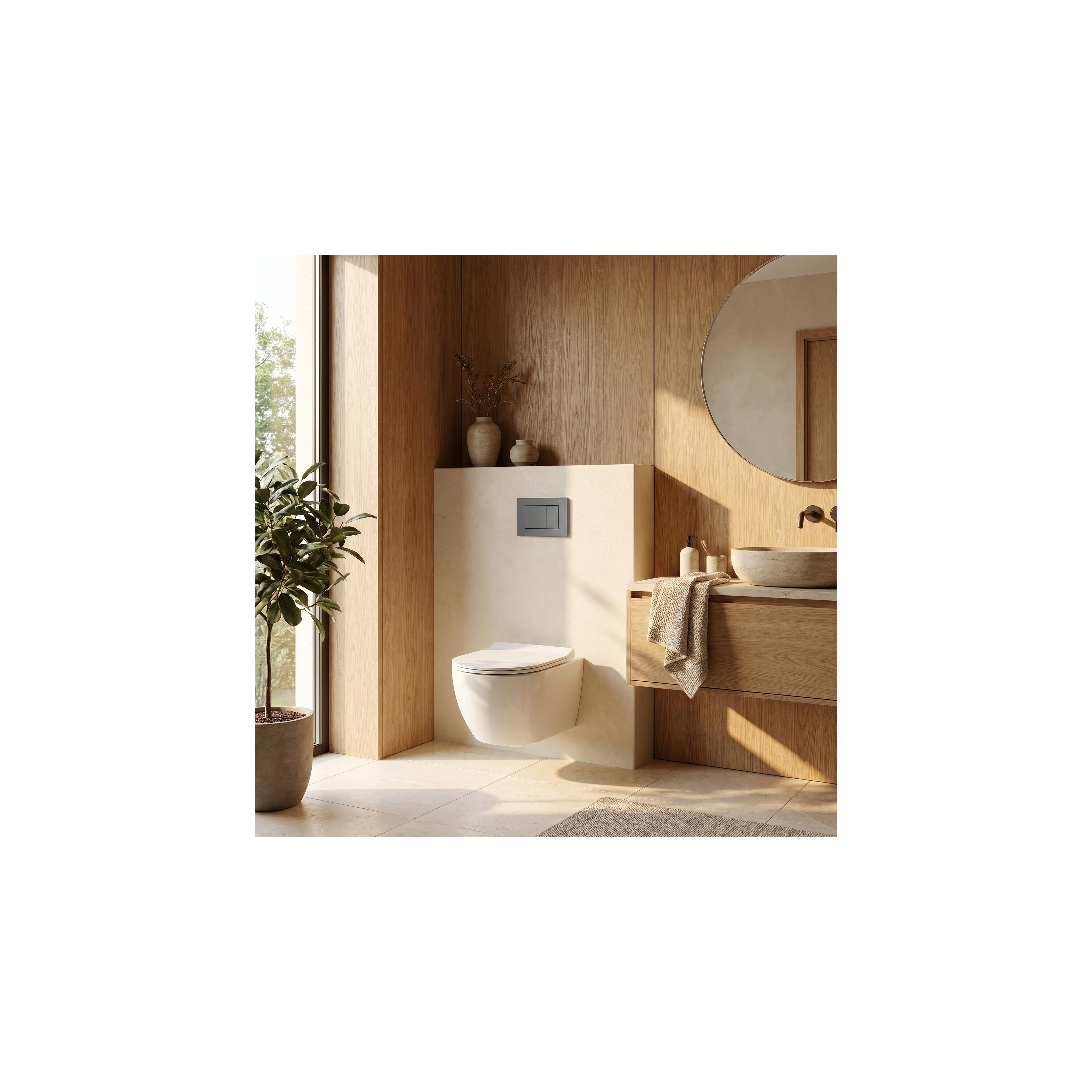 Concealed WC Frame Set Slim 024N with Titan J Button