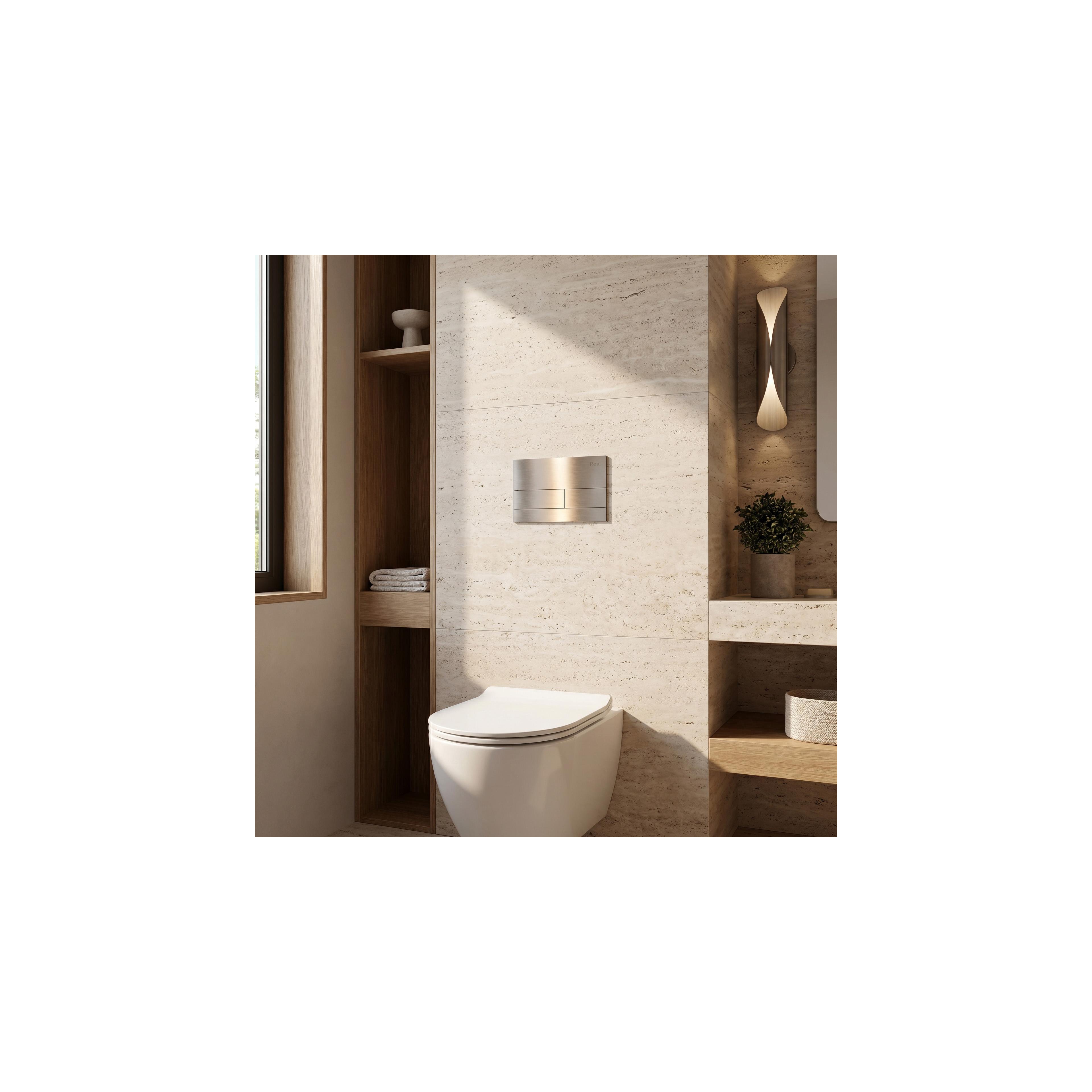 Concealed WC Frame Set Slim 024N with Titan T Brush Steel