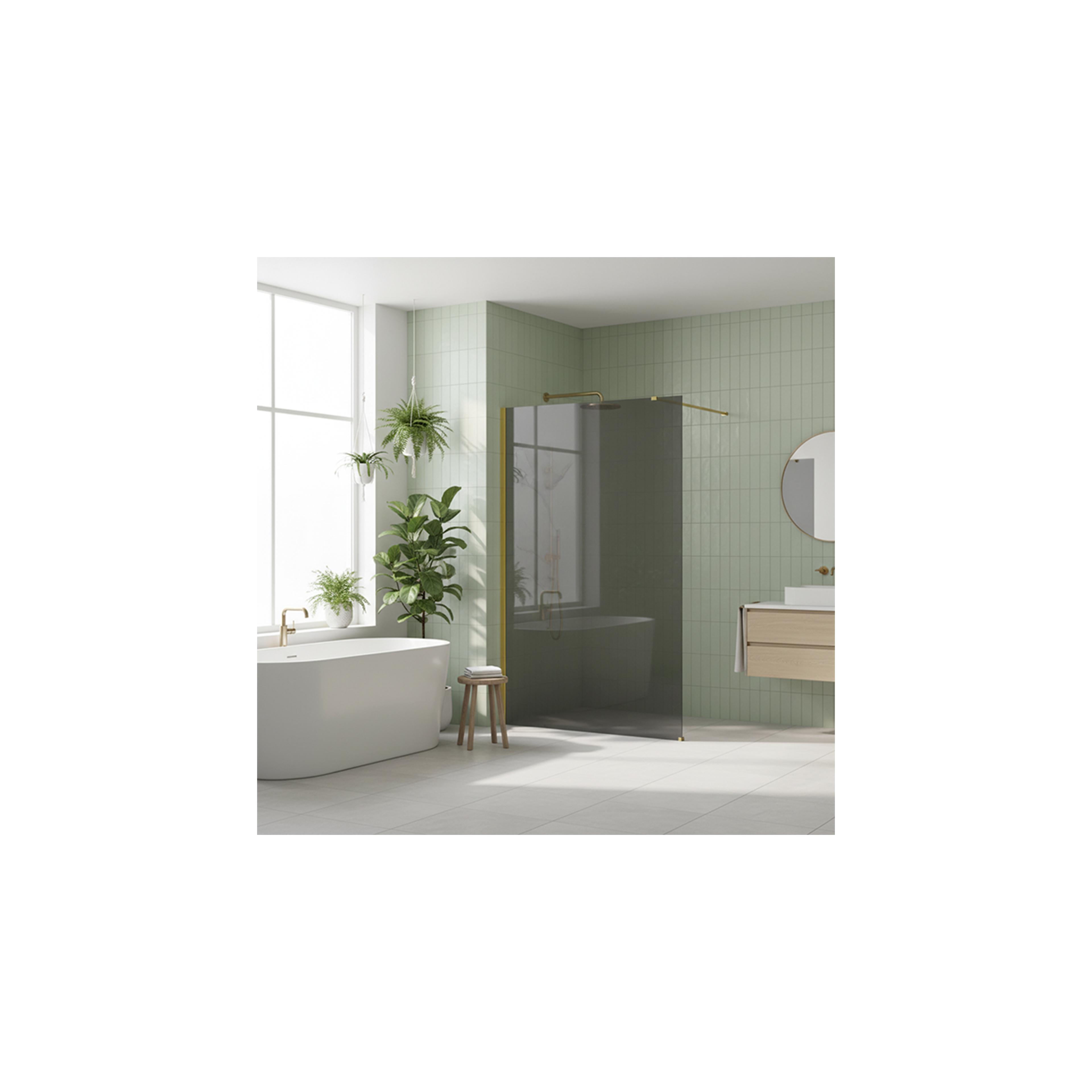 Paroi de douche Rea Flexi Grey / Gold 100