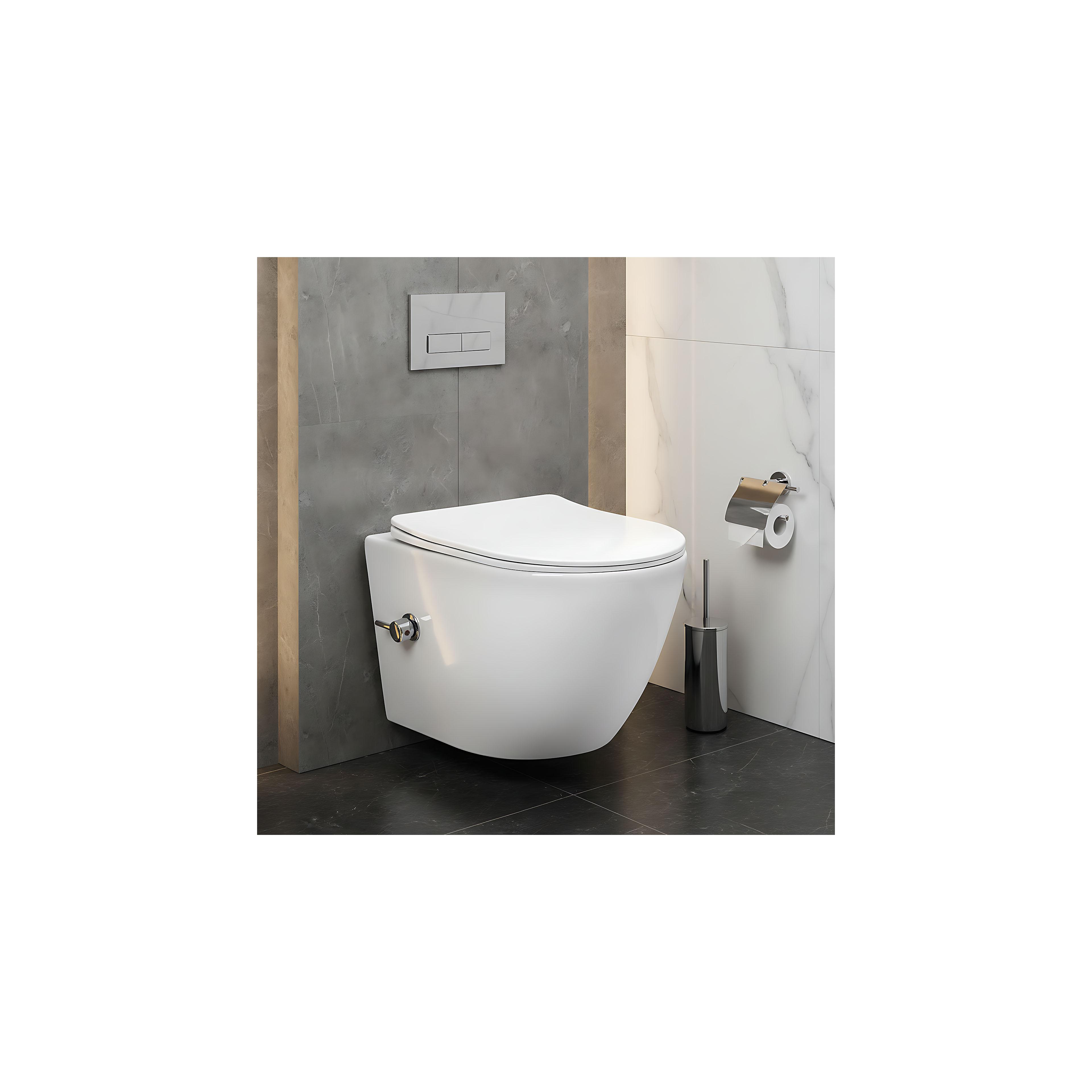 toilet bowl REA Carlo Lux Rimless with bidet function