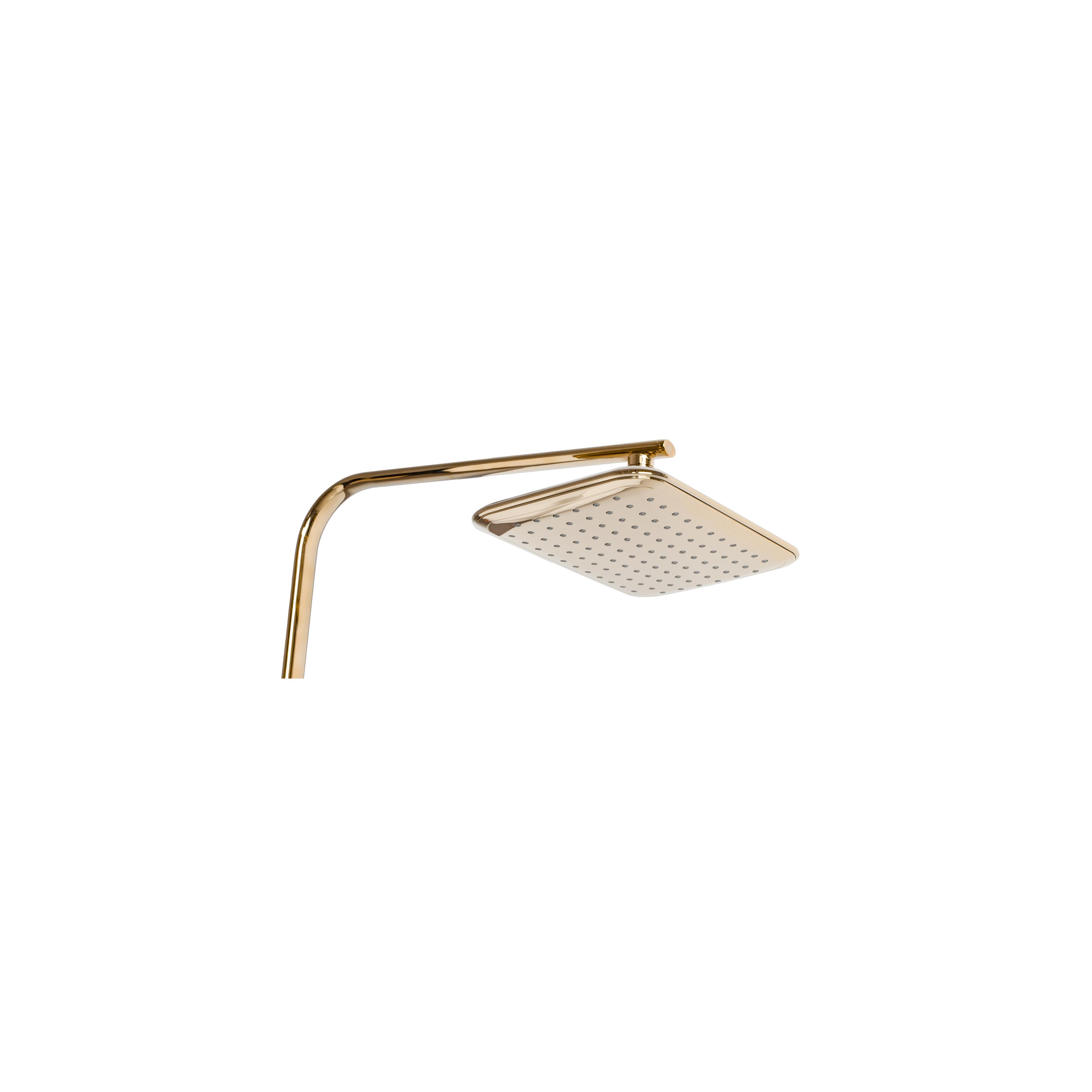 Shower set REA Tom gold