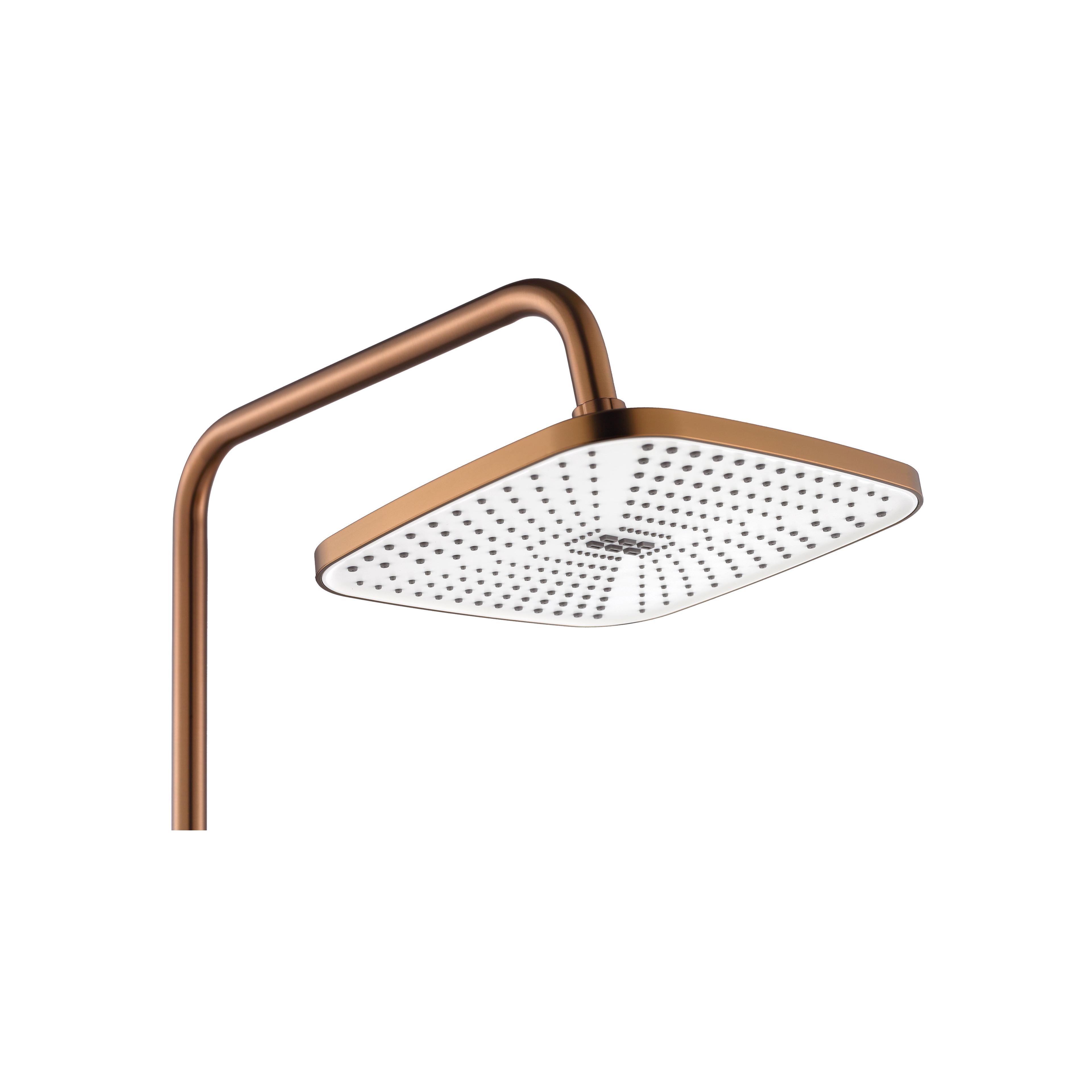 Shower set MY2021-77C REA ARGUS COPPER BRUSH