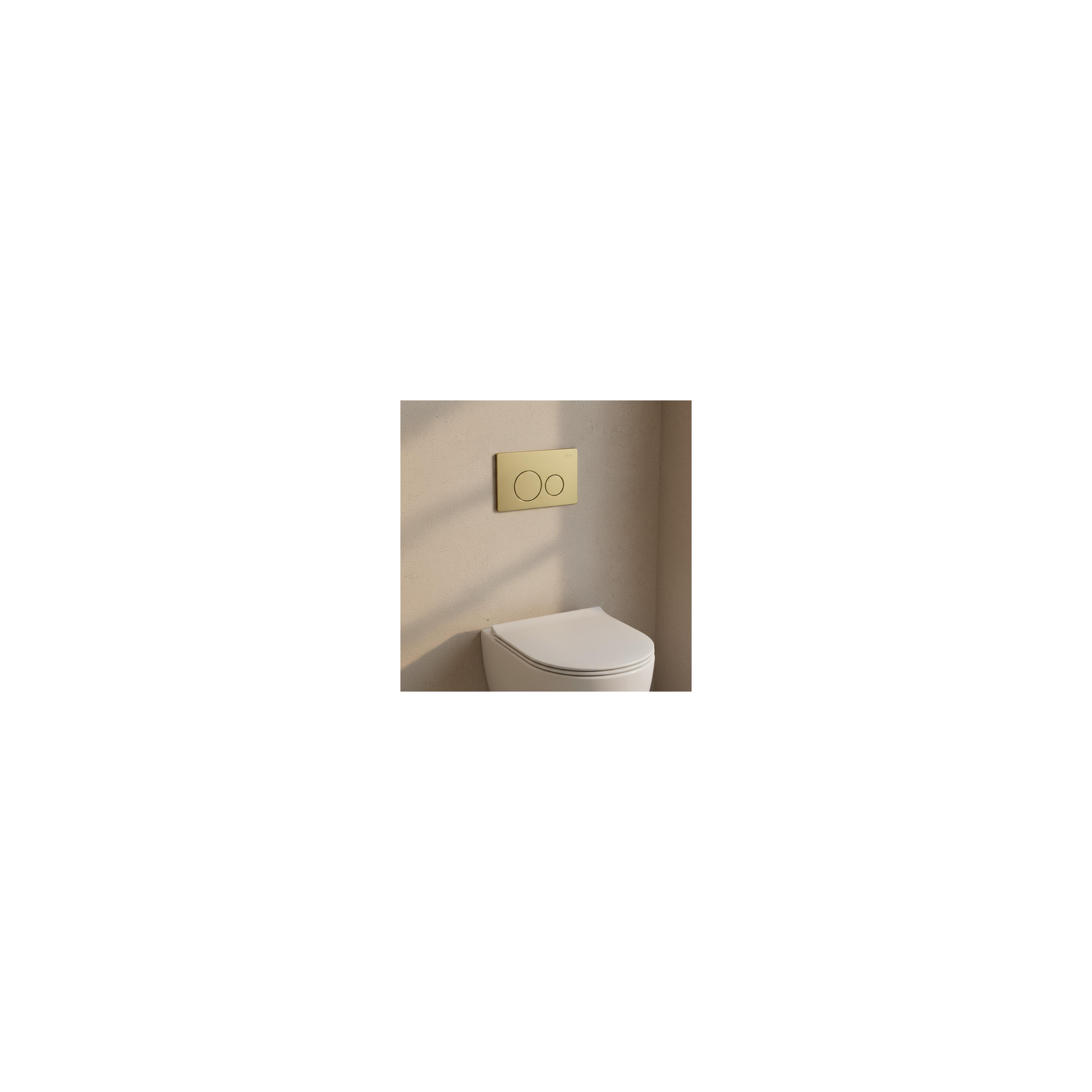 Plaque de commande WC type Rea I K011A-Q Gold Brush