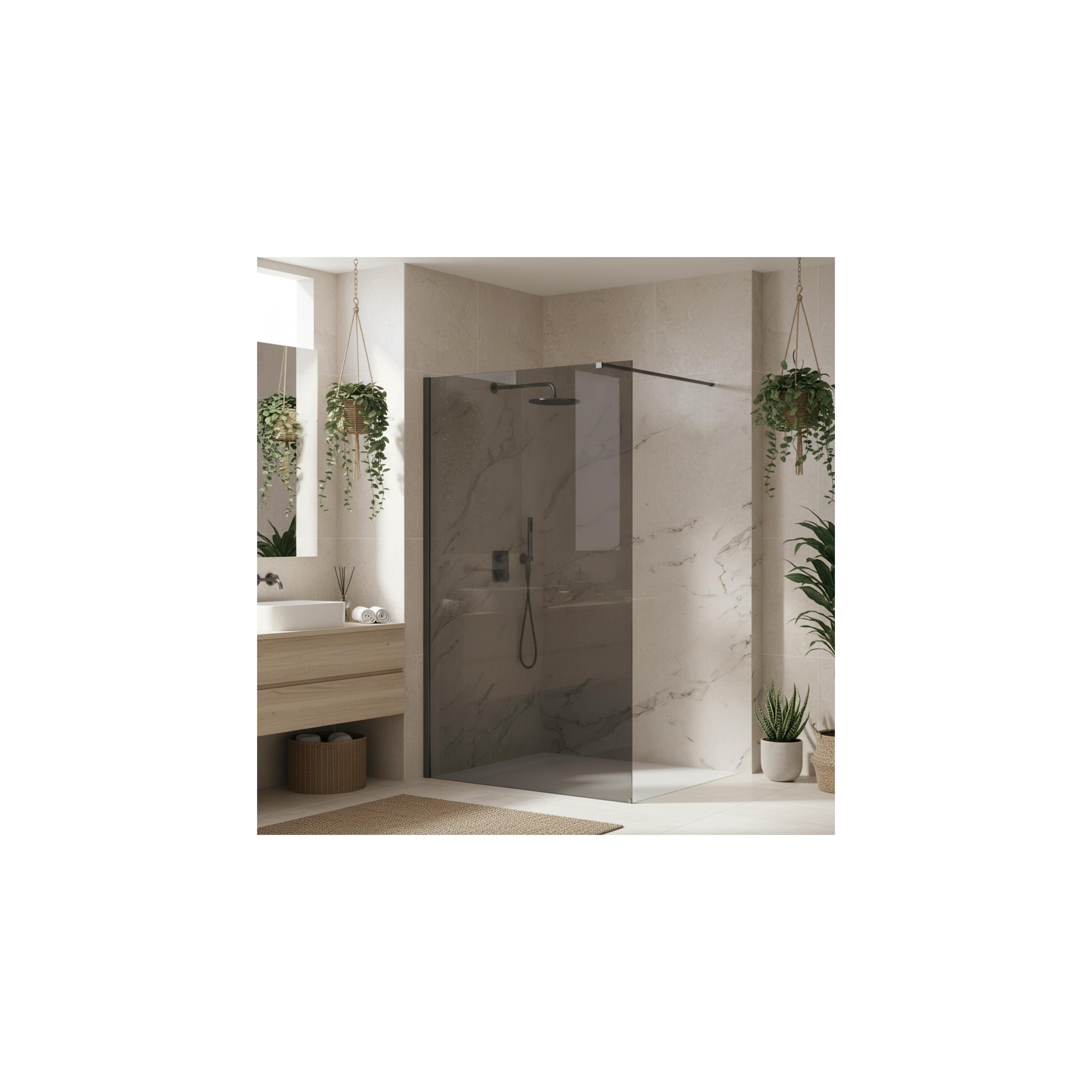Tuš zaslon Rea Flexi Grey / Titan 120