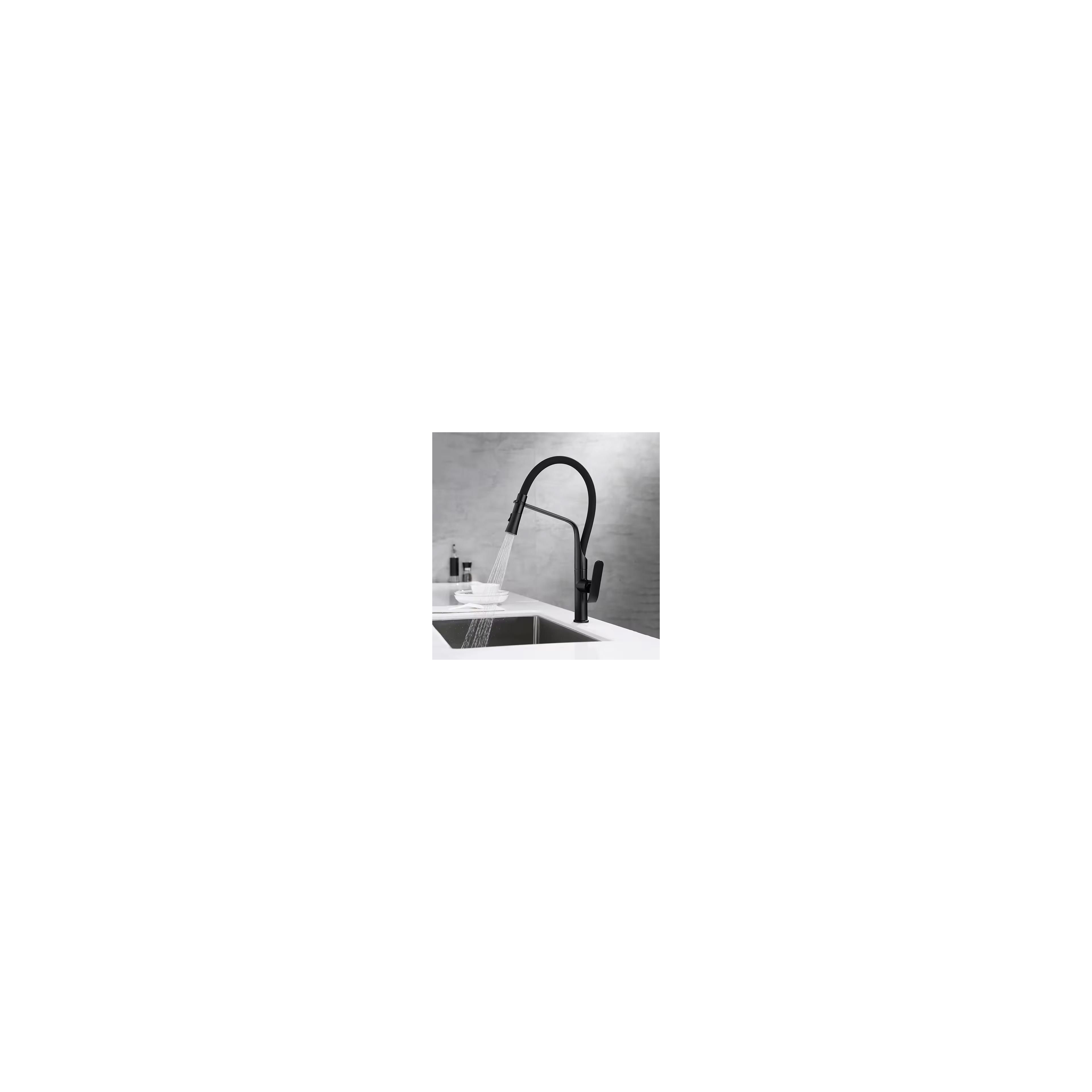 Robinet de cuisine Rea Castor Black Mat