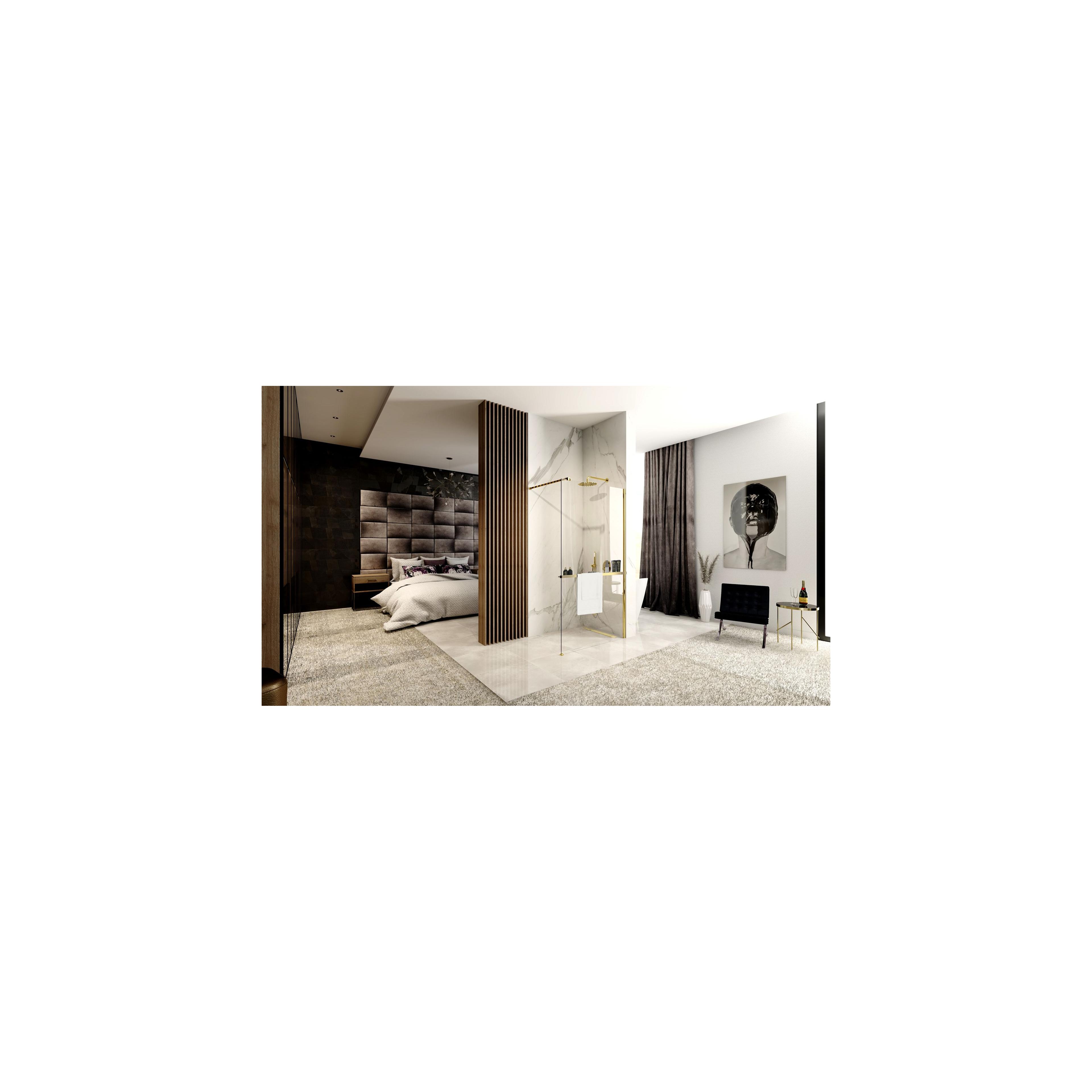 Shower screen Rea Aero Gold N 120 Walk In + EVO