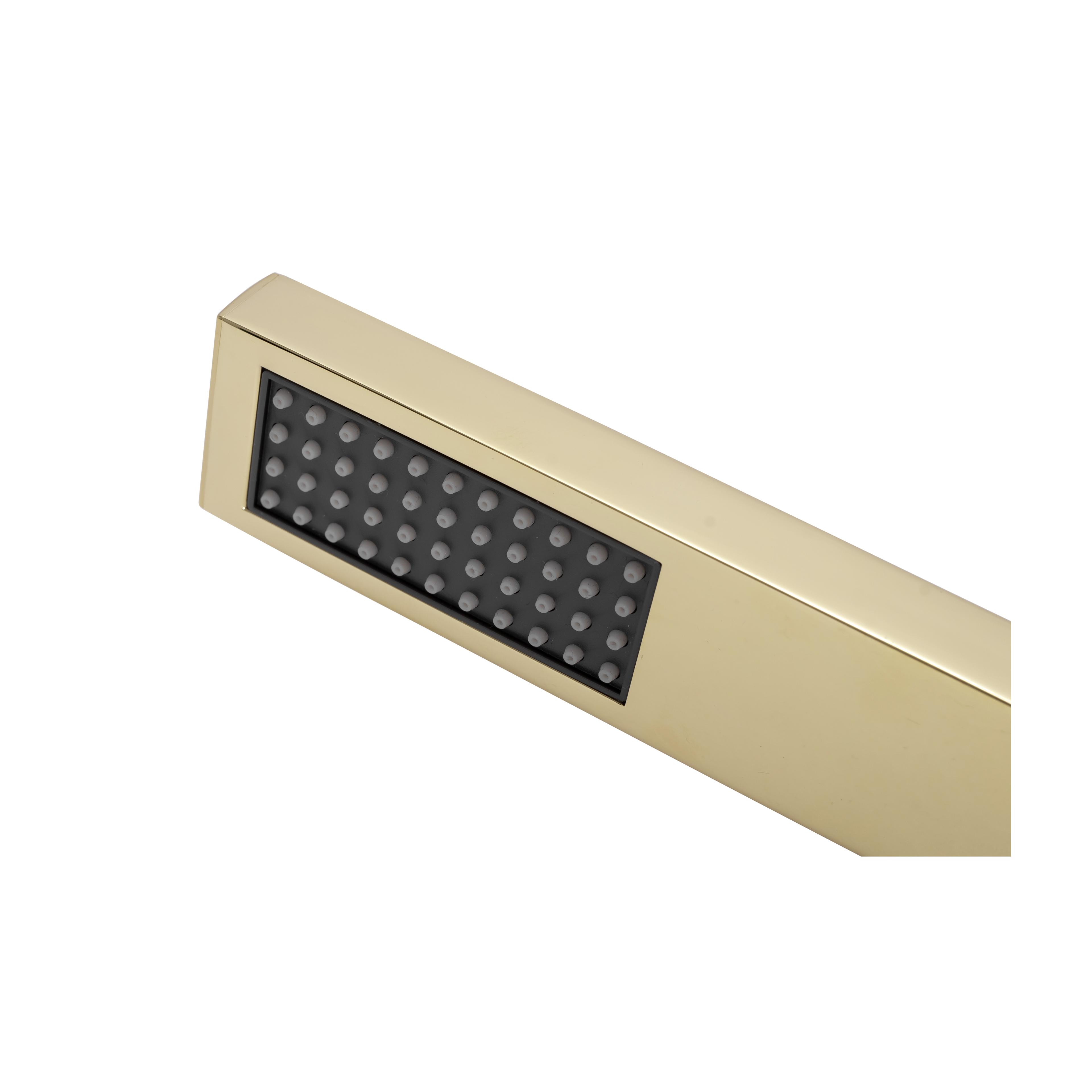 Įleidžiamas dušo komplektas FENIX GOLD + BOX