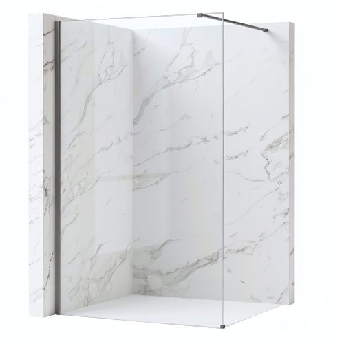 Душова стінка Rea Flexi Transparent / Titan 80