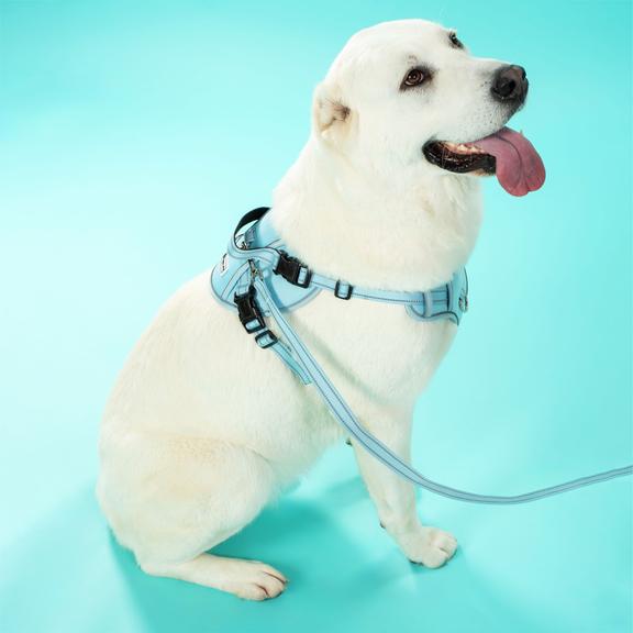 Smycz i szelki dla psa PJ-066 niebieska XL