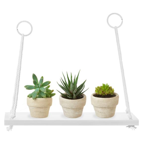 Półka ścienna 223K01