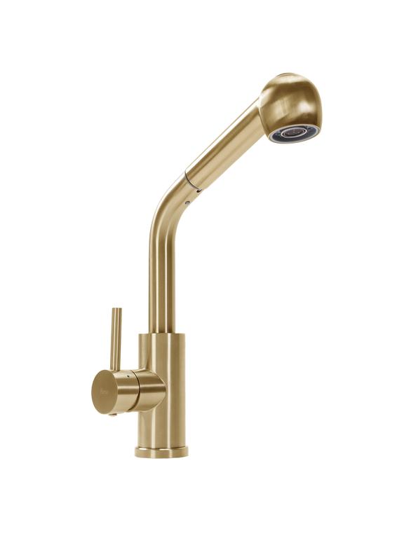Virtuves maisītājs REA Troy Brush gold