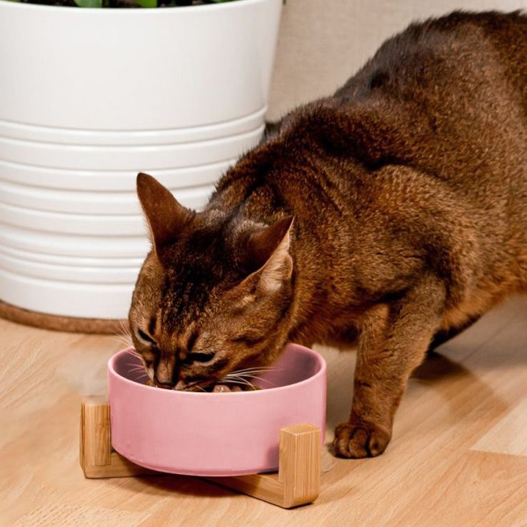 Dog/cat/pet bowl