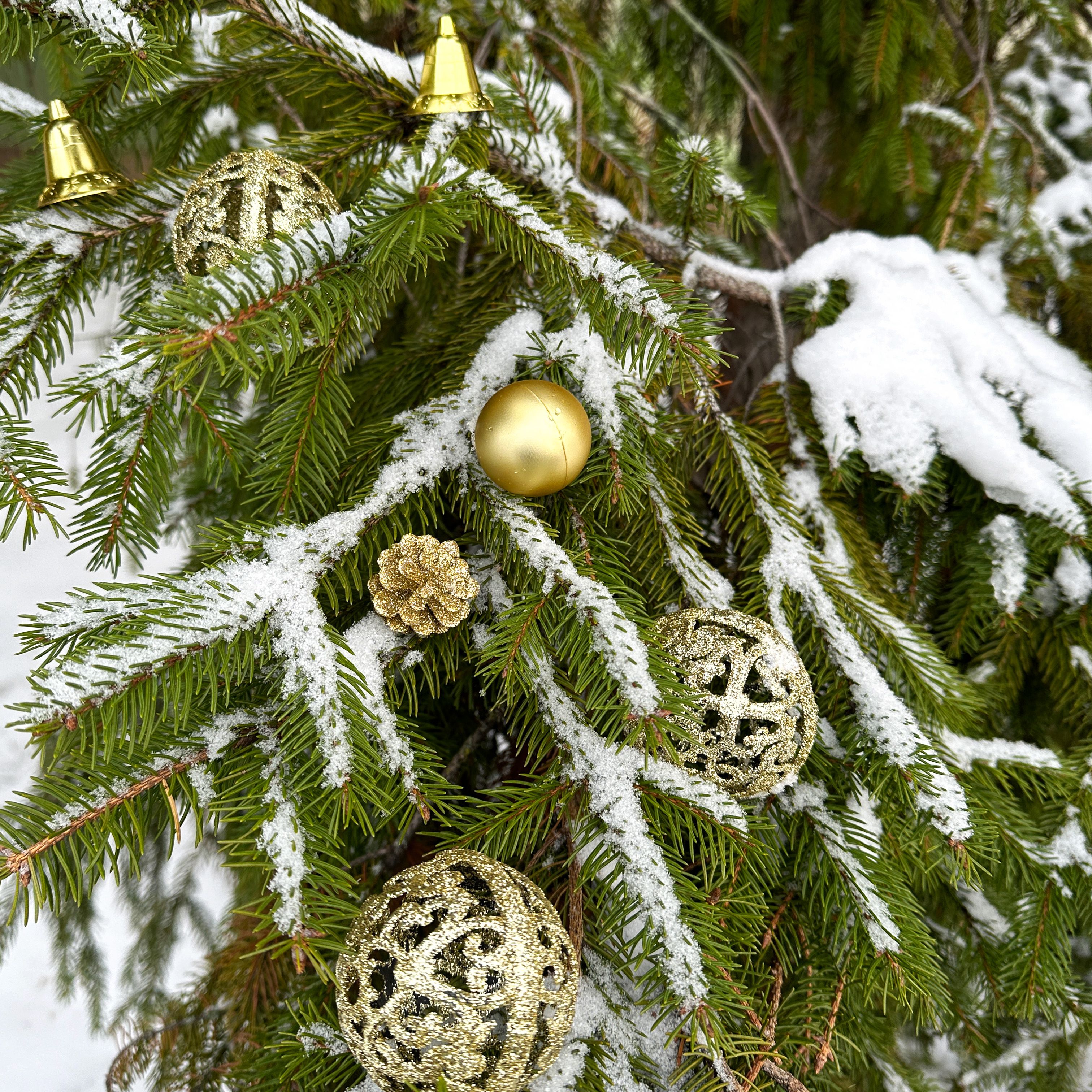 Christmas balls 311437