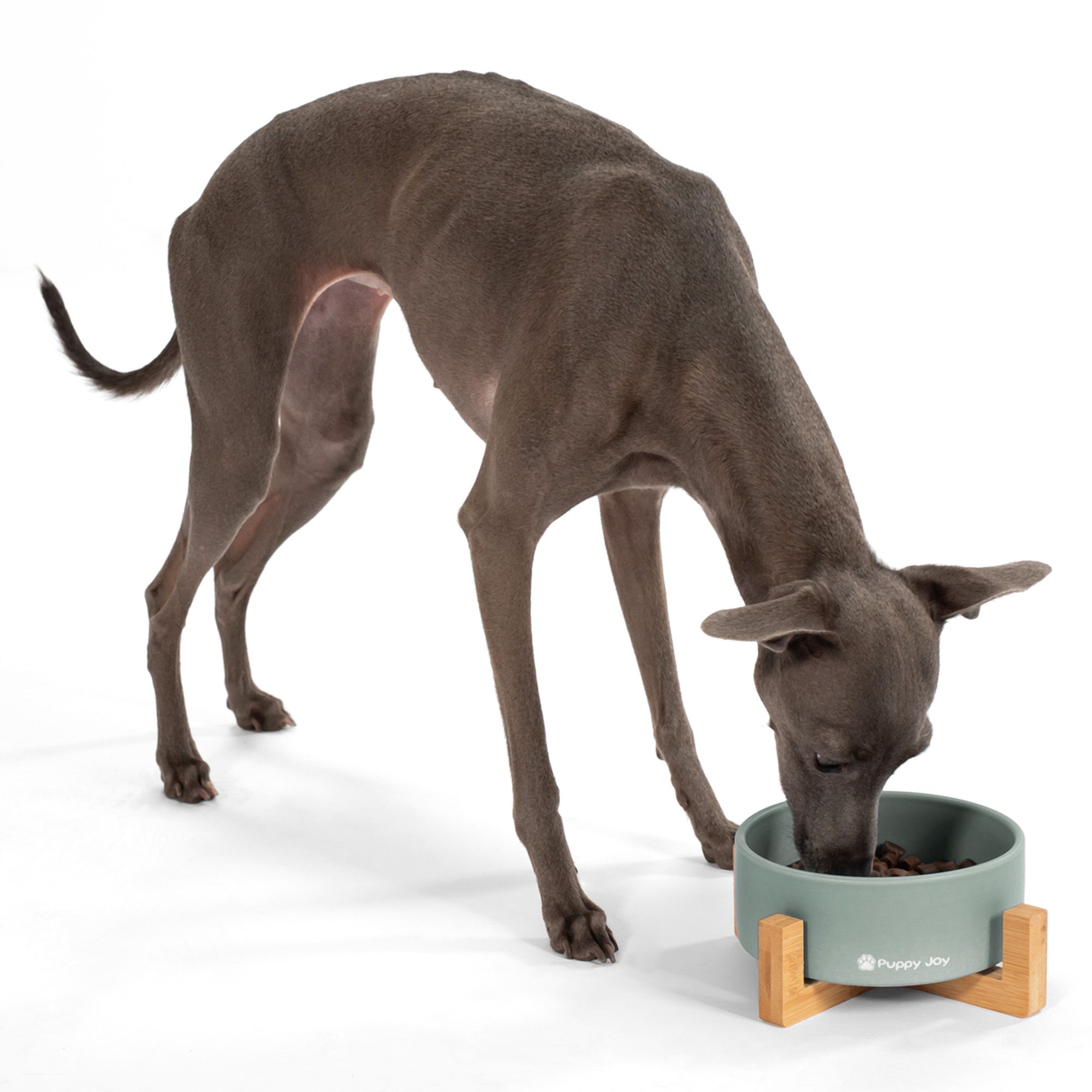 Dog/cat/pet bowl