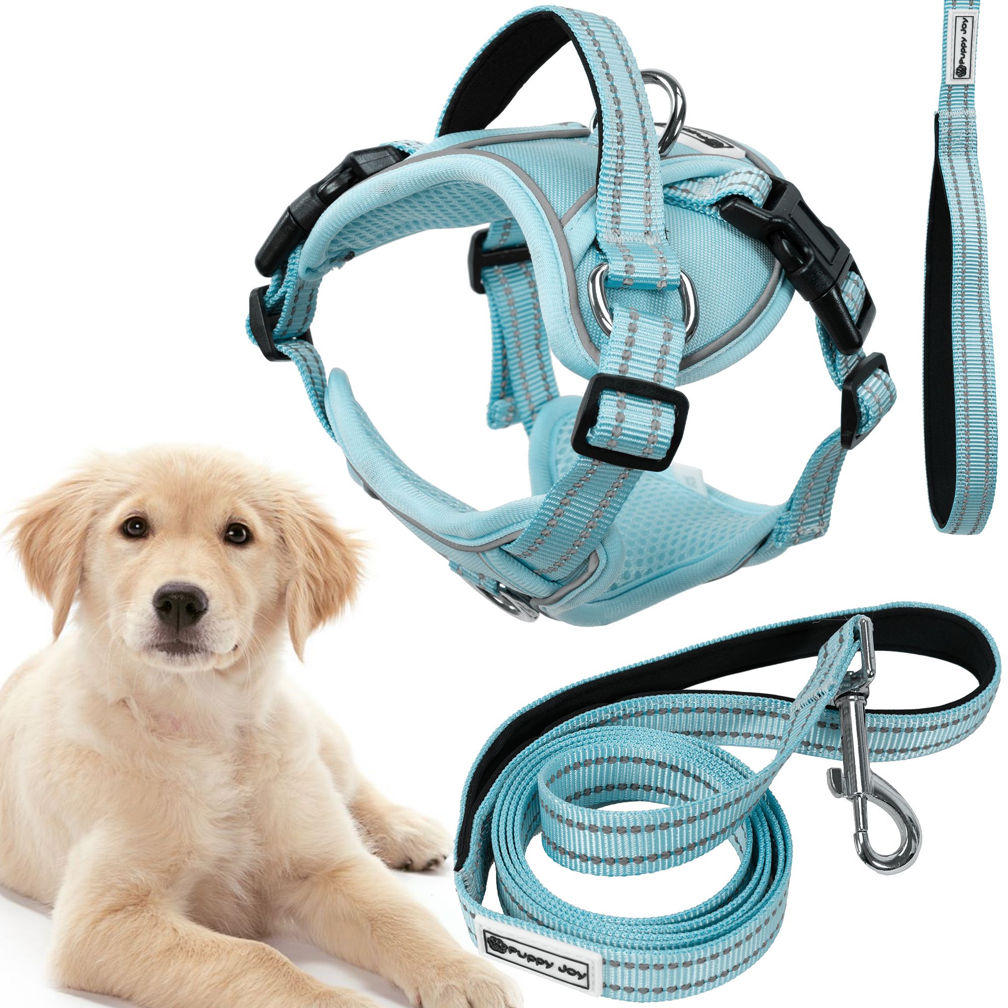 Leash and harness for a dog PJ-062 Blue L
