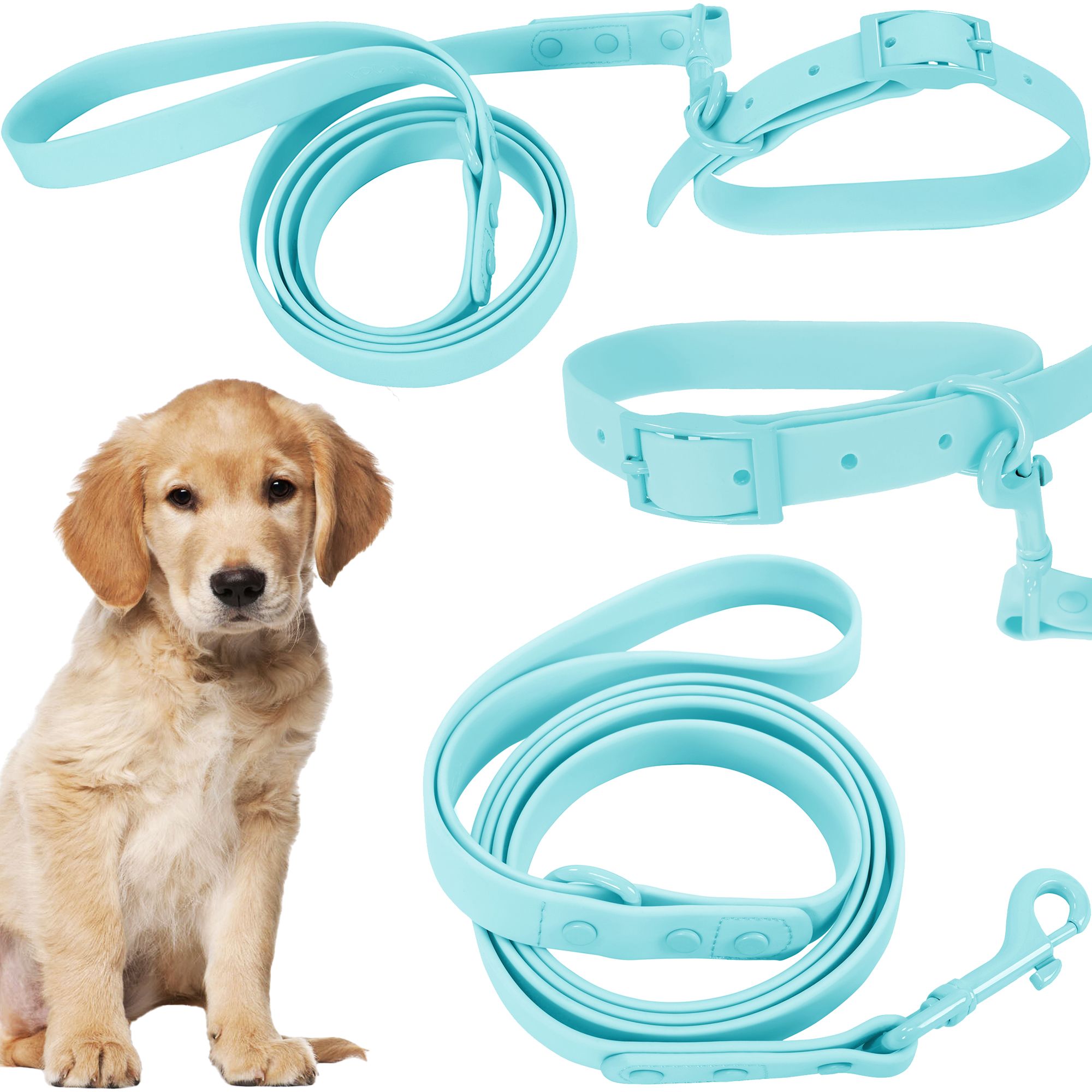 Leash and Collar PJ-074 blue M