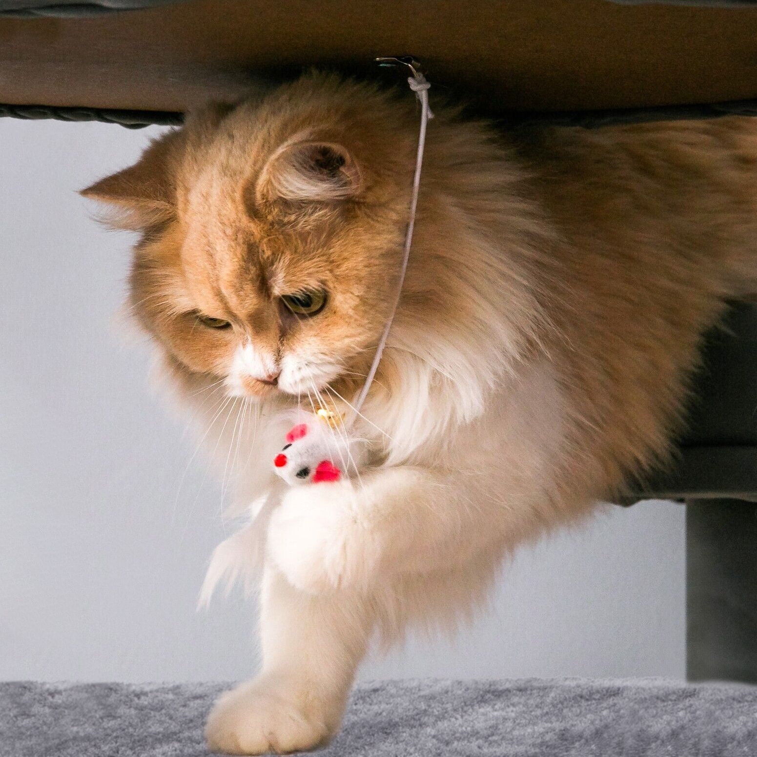 Cat scratching post 322137 XL