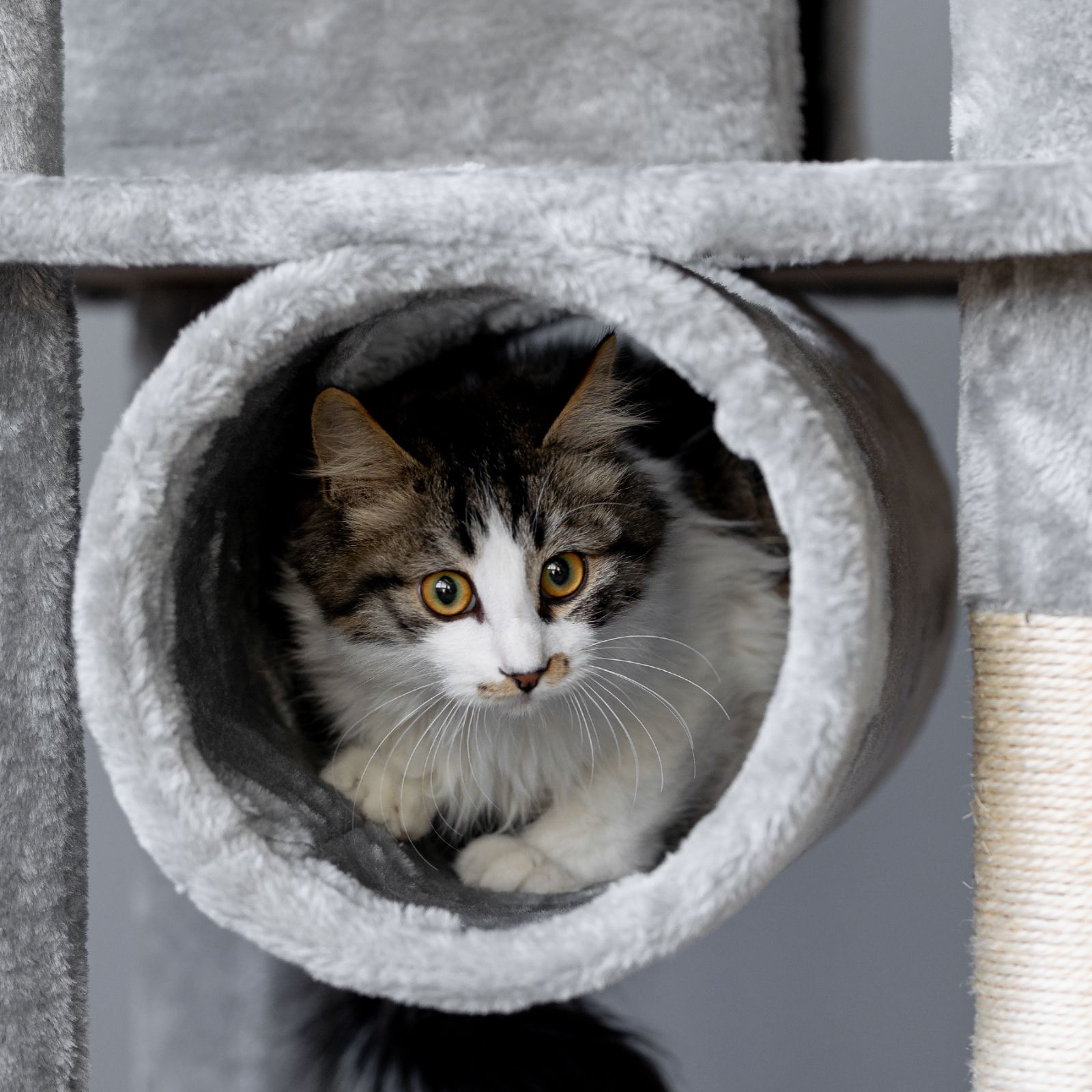 Cat scratching post 322137 XL